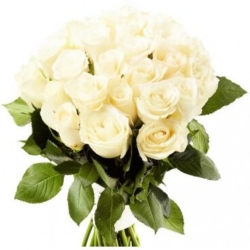 Buquê 20 Rosas Brancas
